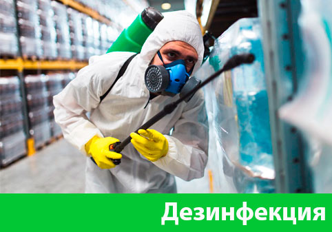 Дезинфекция в городе Армавир