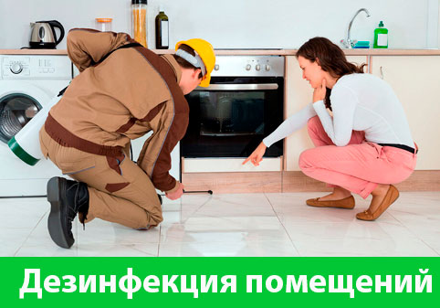 Дезинфекция офисов от коронавируса в городе Армавир