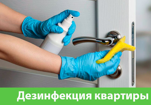 Дезинфекция квартиры в городе Армавир