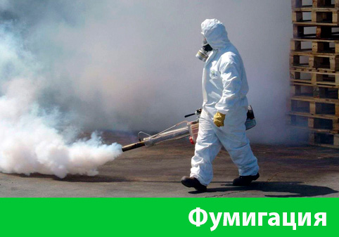 Фумигация в городе Армавир