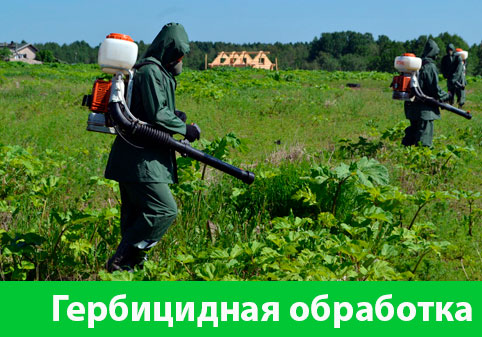 Гербицидная обработка в городе Армавир