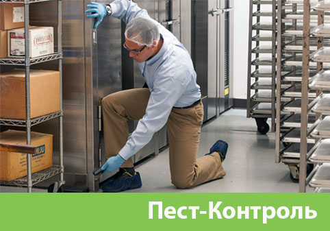 Пэст-Контроль в городе Армавир