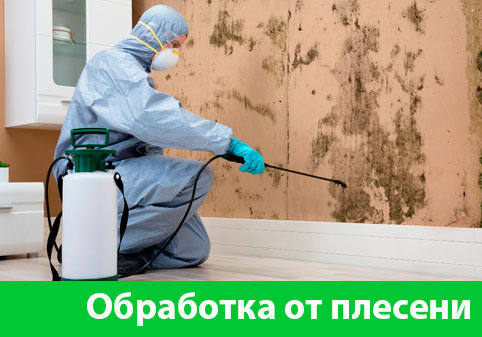 Обработка от плесени в городе Армавир