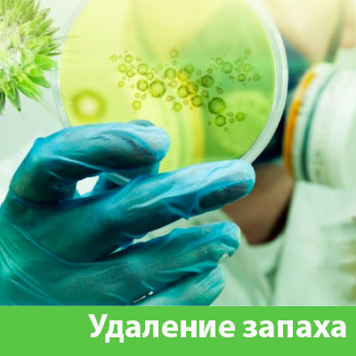 Удаление запахов в Армавире