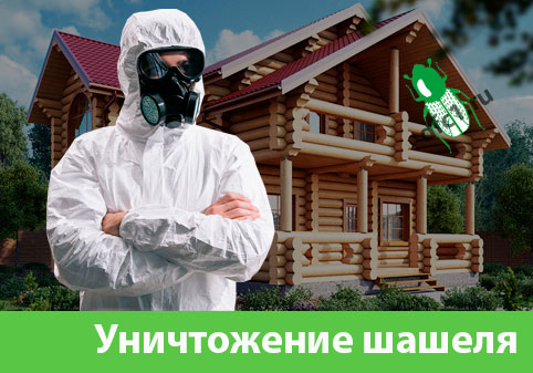 Уничтожение шашеля и личинок в Армавире