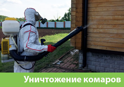 Уничтожение комаров в городе Армавир